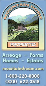 Mountain Home Properties